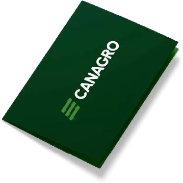 Bildbeschreibungstext